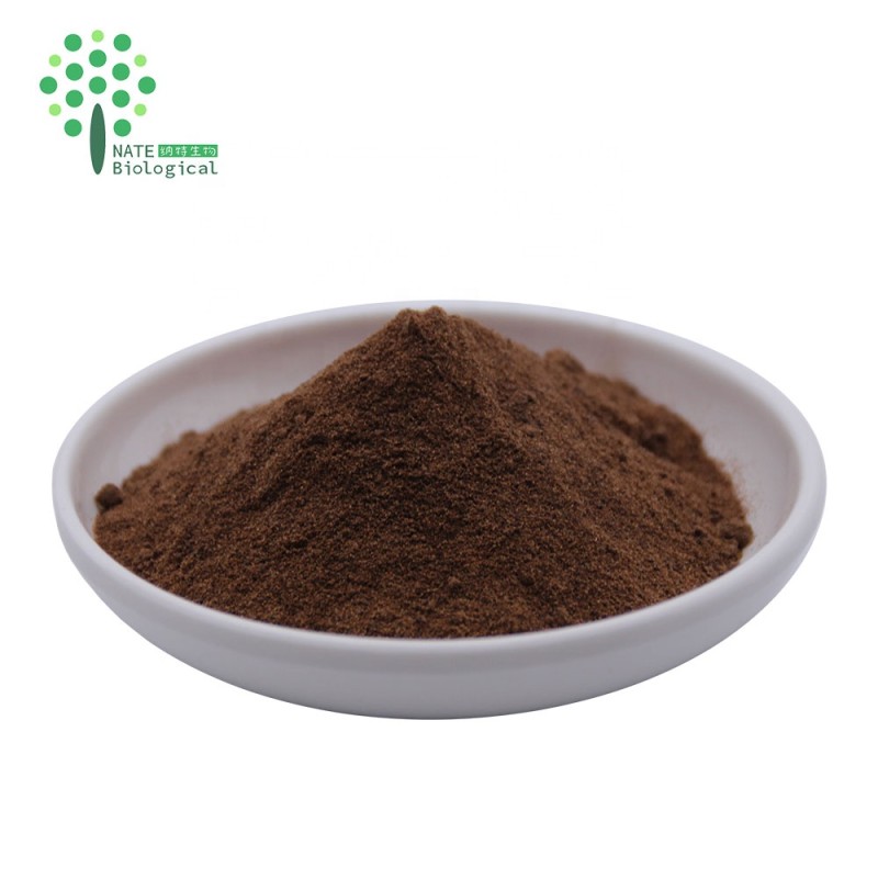 Supplement Lions Mane Mushroom Dual Extract Polysaccharides 20% Triterpenes 4%Hericenones+Erinacines 4%