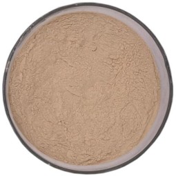 Bulk Natural Garlic Extract Allicin Powder 1%