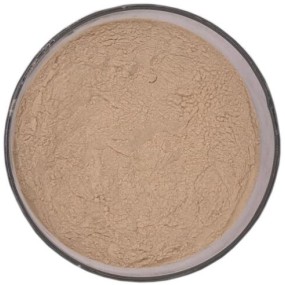 Bulk Natural Garlic Extract Allicin Powder 1%