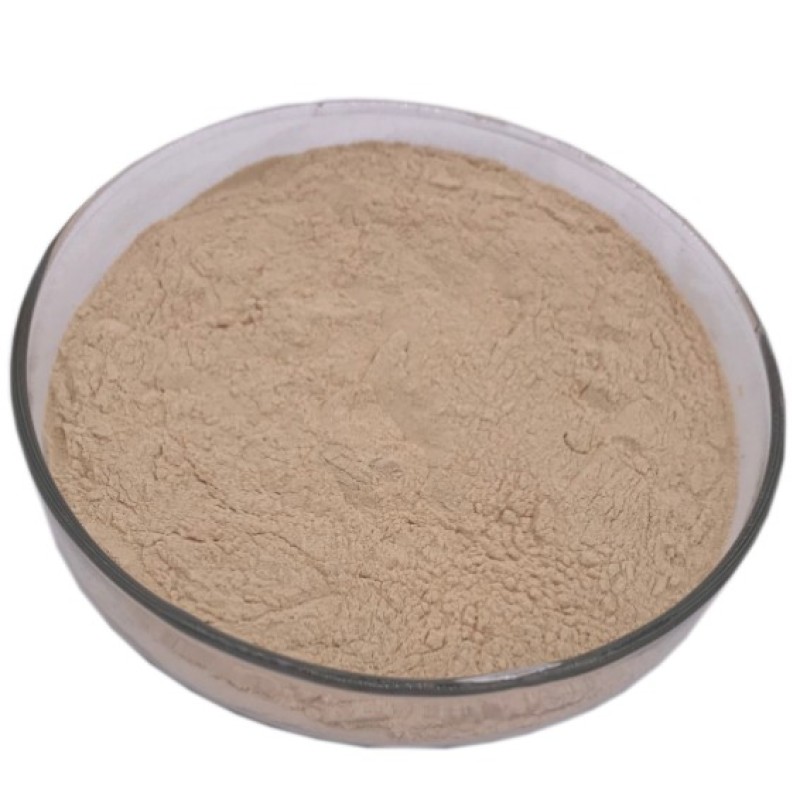 Bulk Natural Garlic Extract Allicin Powder 1%