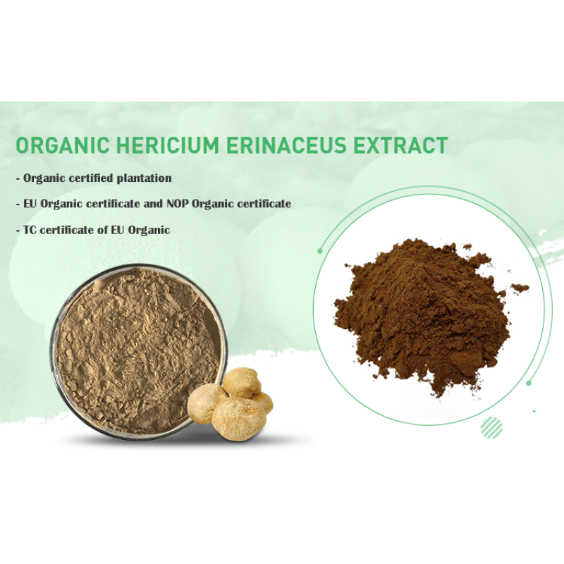 Lions Mane Mushroom Extract Polysaccharide Beta Glucan Powder