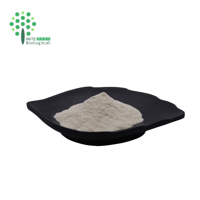 Cosmetics Raw Material Snail Slime Extract Powder