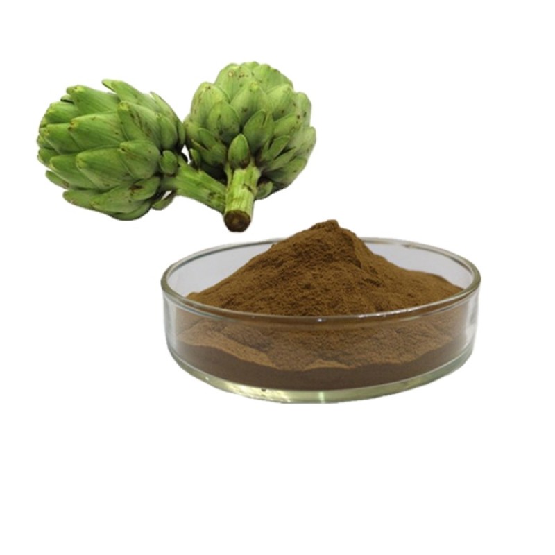 Supplement Artichoke Extract Powder 2.5% 5% Cynarin Powder