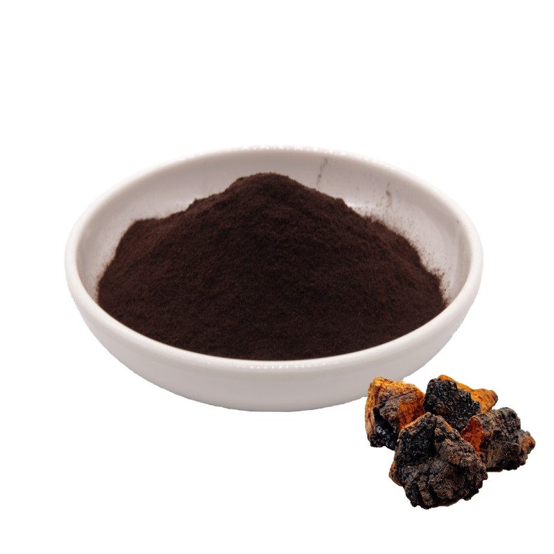 Black Gold Chaga Mushroom Extract Powder Polysaccharide 30% 50% Beta Glucan 2.0 3.0 5.0