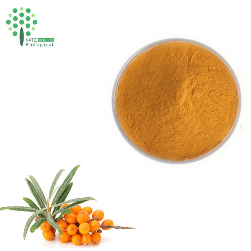 Wholesale Bulk Fruit Powder Sea Buckthorn Juice Powder Food Grade
