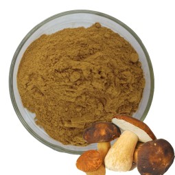 Immunity Enhancing Material Boletus Edulis Mushroom Extract Powder Polysaccharide 50%