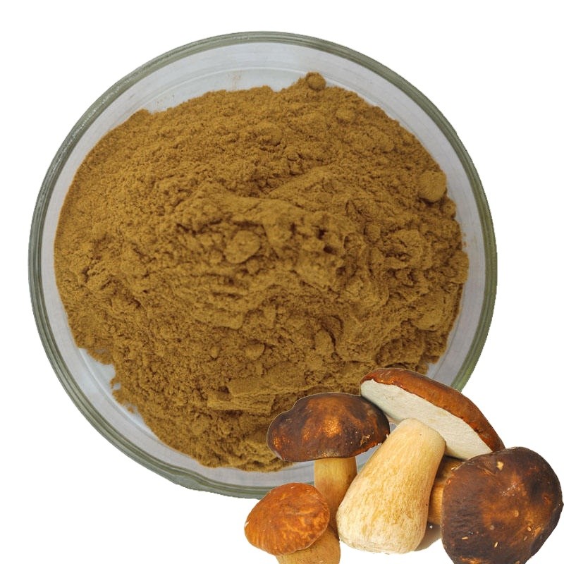 Immunity Enhancing Material Boletus Edulis Mushroom Extract Powder Polysaccharide 50%