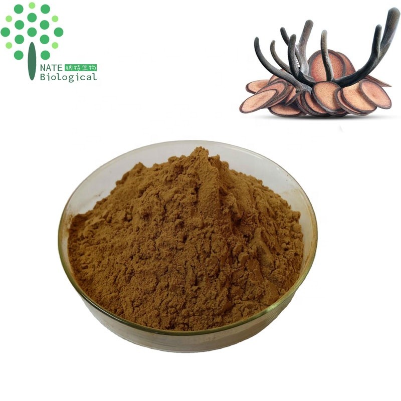 Supply Water Soluble Deer Velvet Antler Extract Powder 10:1 20:1 Deer Antler Extract Powder