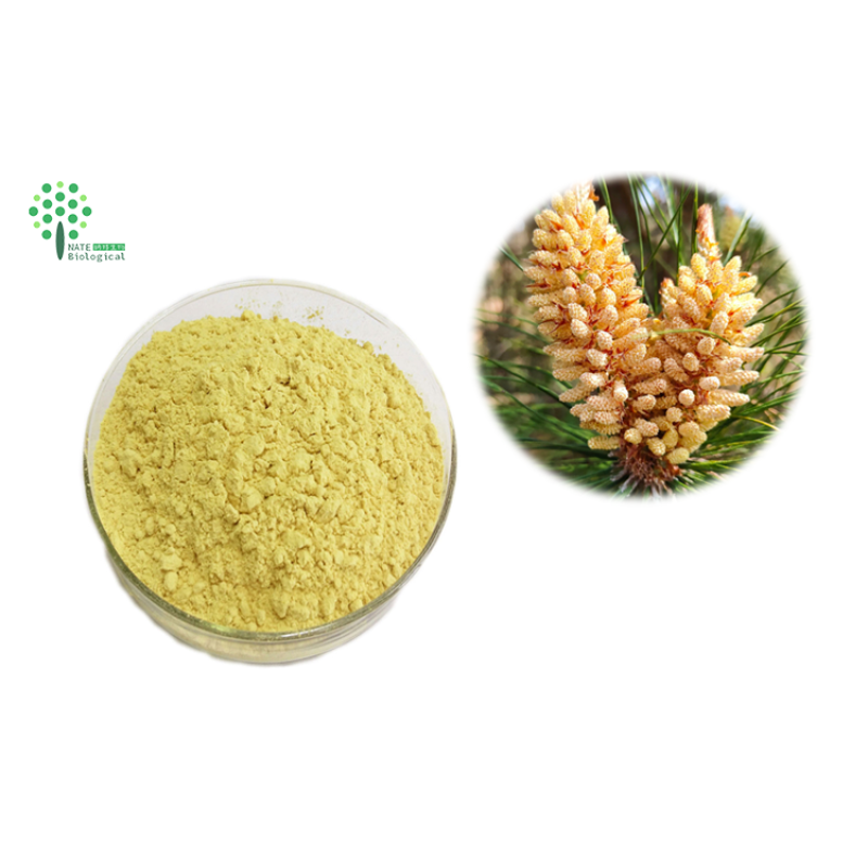 Cell Wall Cracked Broken Pine Pollen Extract Powder