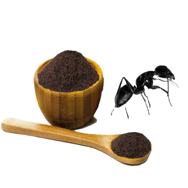 Black Polyrachis Ant king Extract Powder Bulk