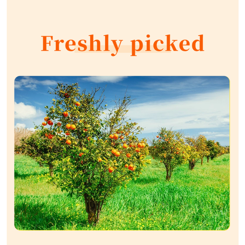 Sunscreen Cream SPF50 - Vitamin C Antioxidant