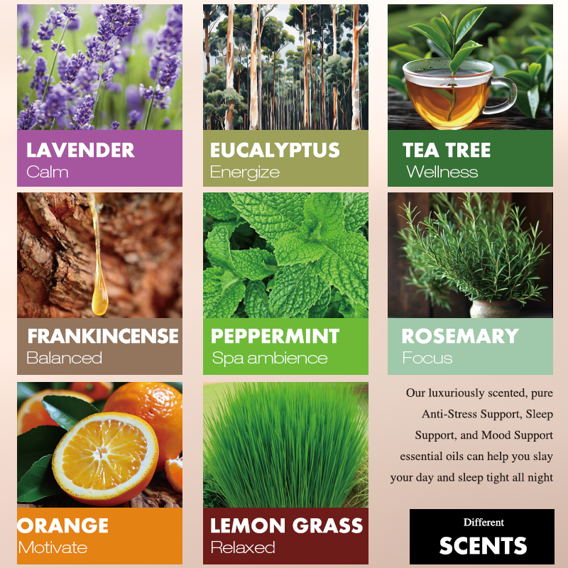 Peppermint Oil - Organic Body Massage