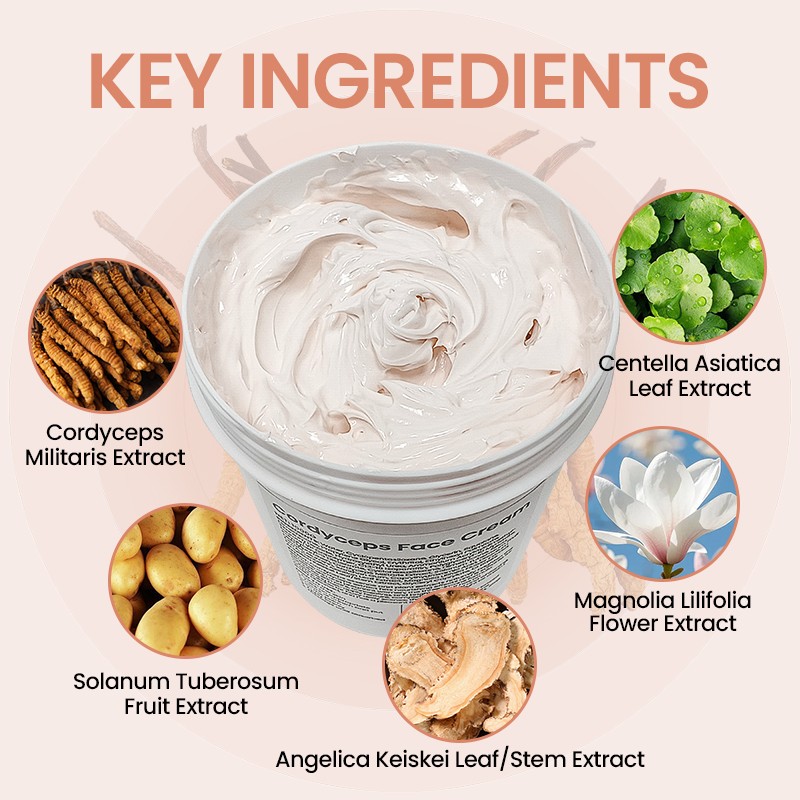 Face Cream 1kg - Hyaluronic Acid Cordyceps Repair