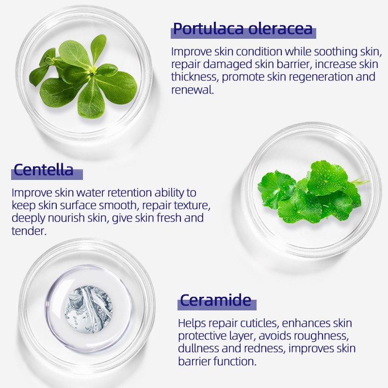 Freeze-dried Powder - Bose Anti Wrinkle Restoring