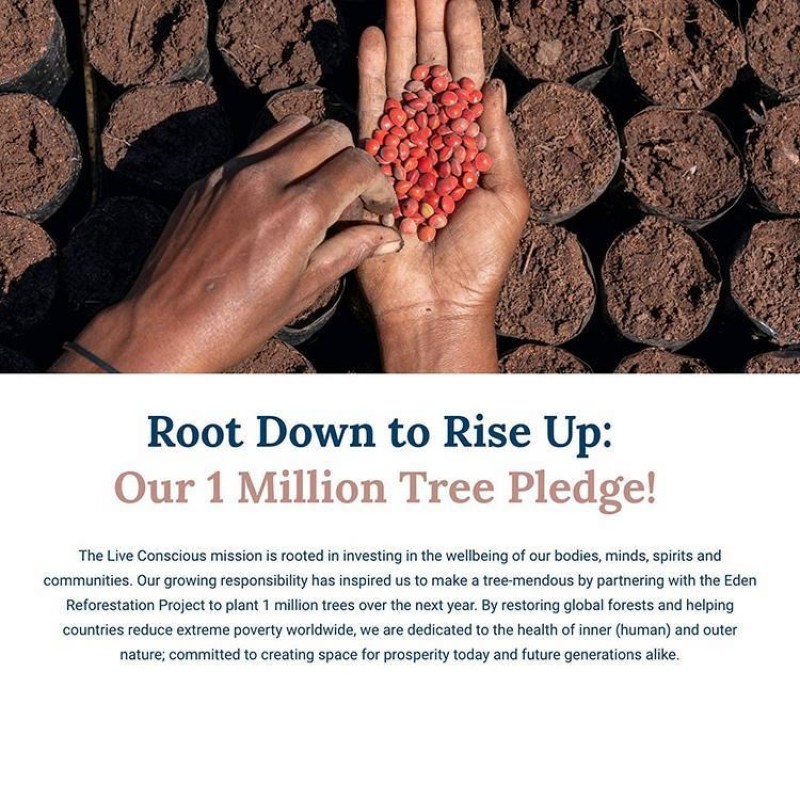 Joint Health Capsules Factory - Self Branded MSM Hyaluronic Acid