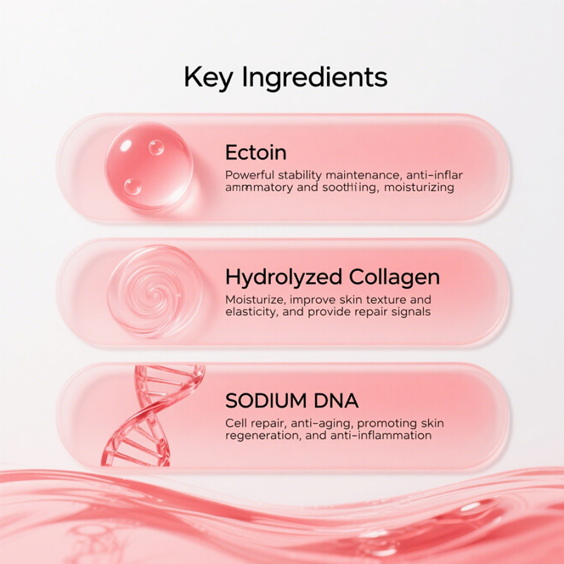 Ampoule Serum - OEM Ectoin Probiotic Firming