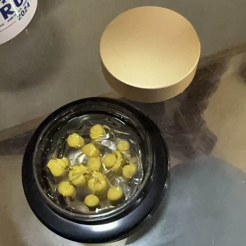 Korean Skin Care Cream Factory - Mediccub 55g Vitamin C Golden