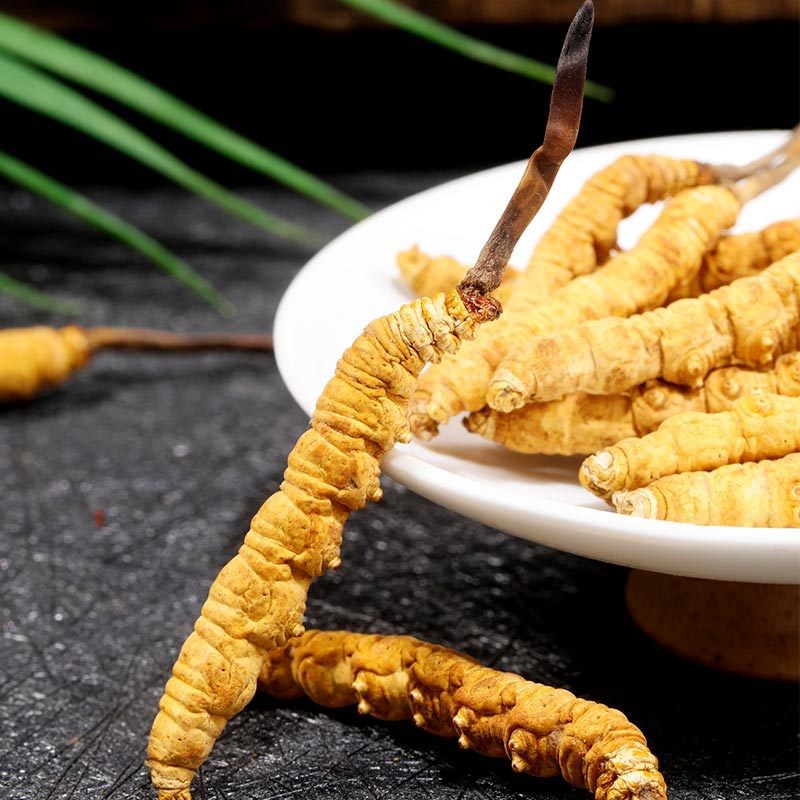 Cultivated Cordyceps - Dried Mushroom Health Food