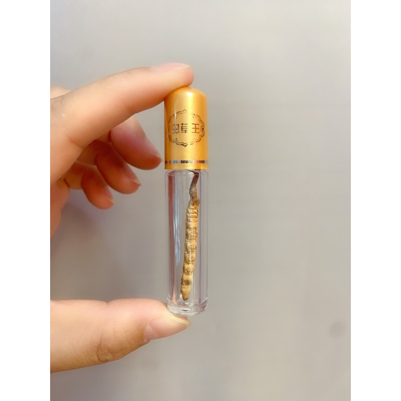 Cordyceps Extract Powder - OEM Capsules Beverages