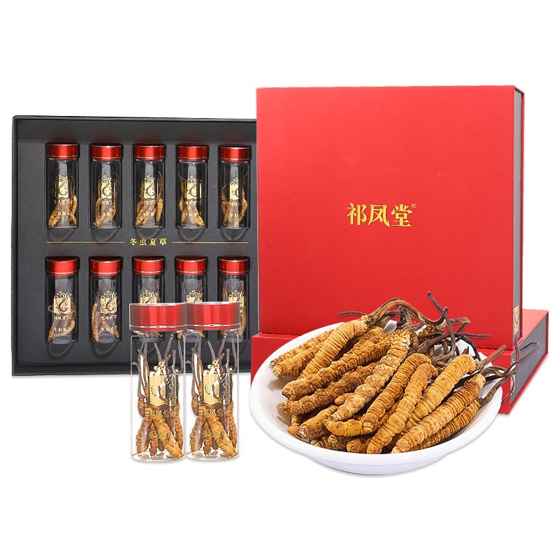 Wild Cordyceps - Natural Tonic Raw Processing