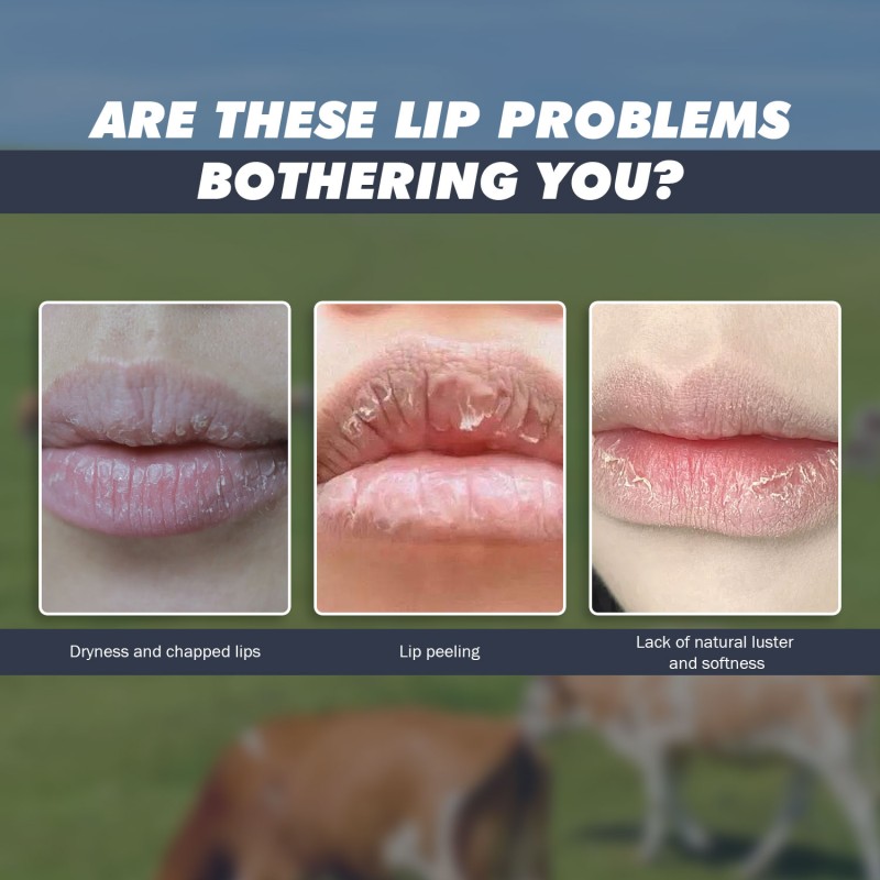 Avocado Lip Balm - Deep Hydration Barrier Repair