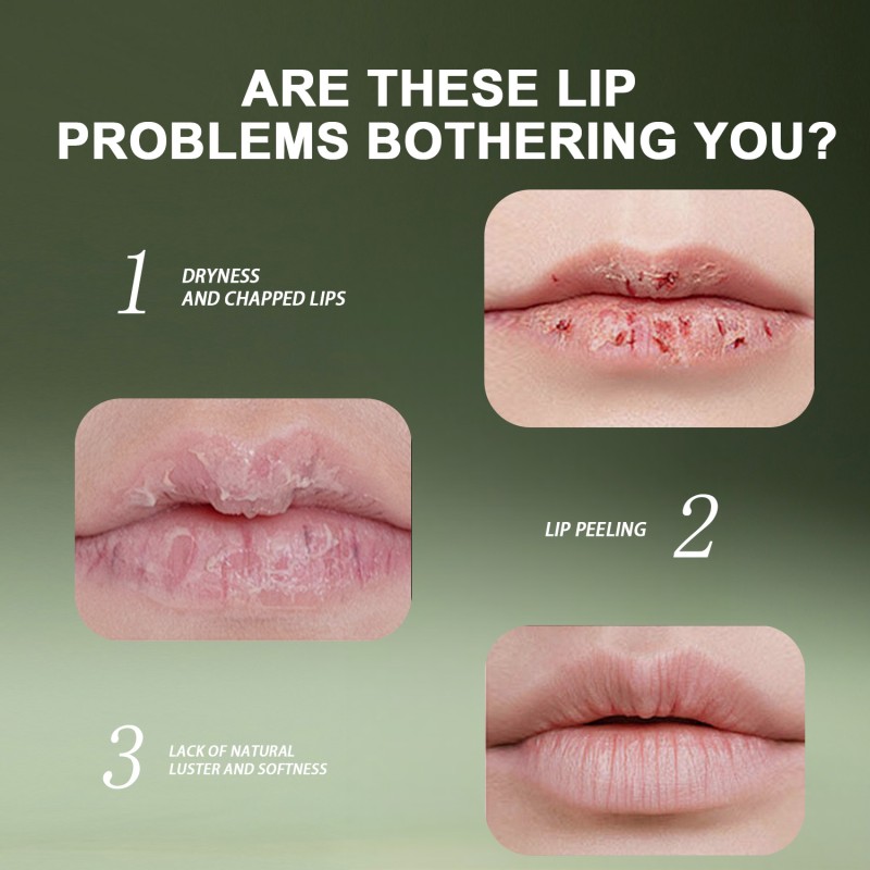 Tinted Lip Balm - OEM Vegan Vitamin E Moisturizing