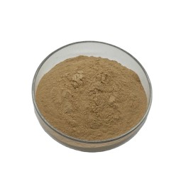 Top Quality 10:1 Thai Black Ginger Extract Powder Organic Ginger Powder