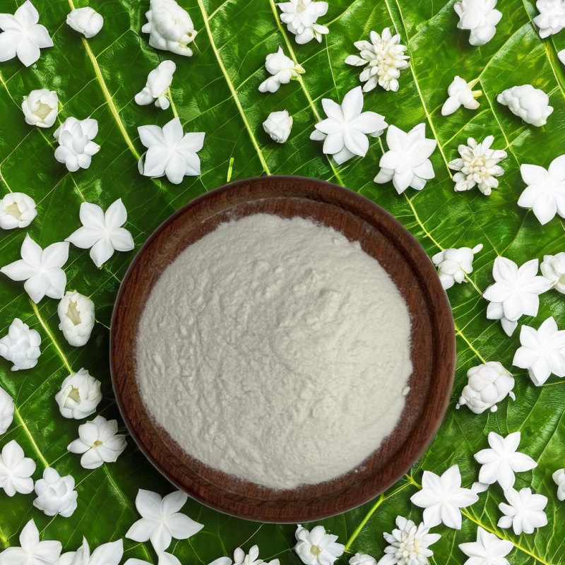 Lactase Price Suppliers Lactase (Aspergillus Oryzae) 100000 ALU/g Lactase Enzyme