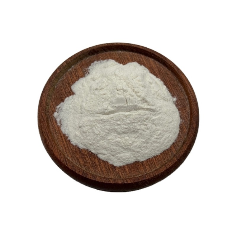 Manufacturer Supply High Quality Probiotics Pediococcus Lactis Supplements Bifidobacterium Lactis Powder