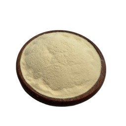 Prickly Pear Freeze-Dried Powder Dried Prickly Pear Powder