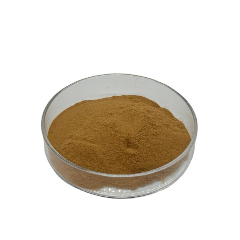 Plant Extract 10:1 20:1 Loquat Leaf Extract Loquat Extract