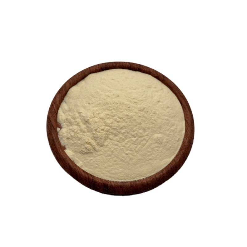 100% Natural High Quality Freeze Dried Lemon Powder Lemon Extract Powder