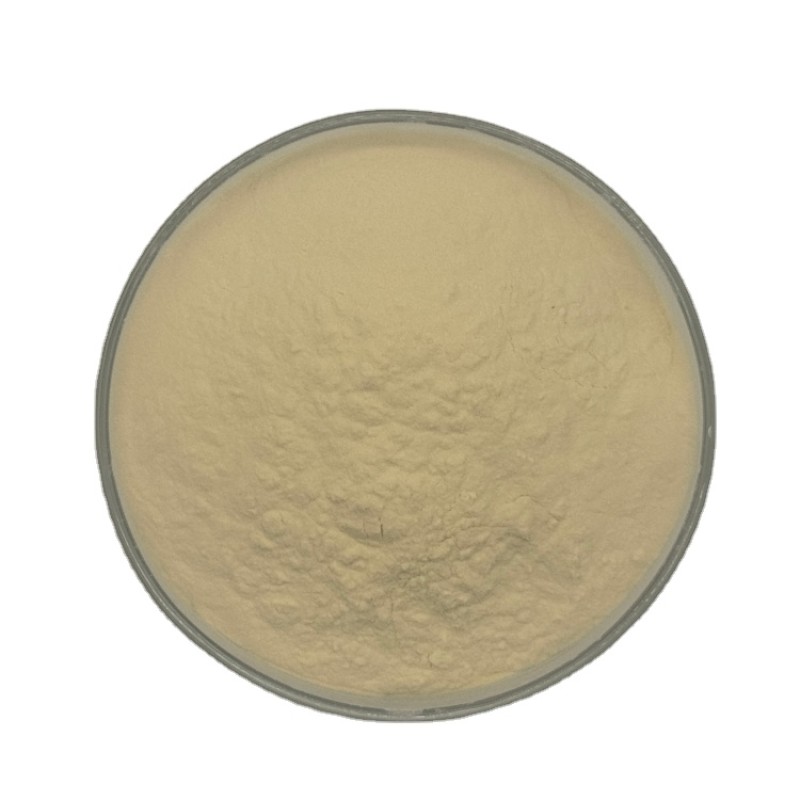 Soy Protein 60% Food Supplement Hydrolyzed Soy Protein Concentrate Powder Concentrated Soy Protein