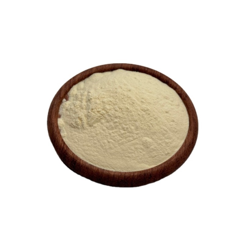 Good Price Lemon Powder Freeze Dried Lemon Juice Dry Lemon Powder