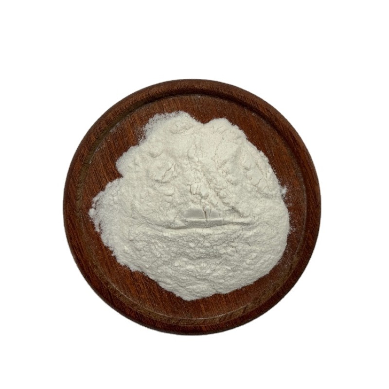 Manufacturer Supply High Quality Probiotics Pediococcus Lactis Supplements Bifidobacterium Lactis Powder