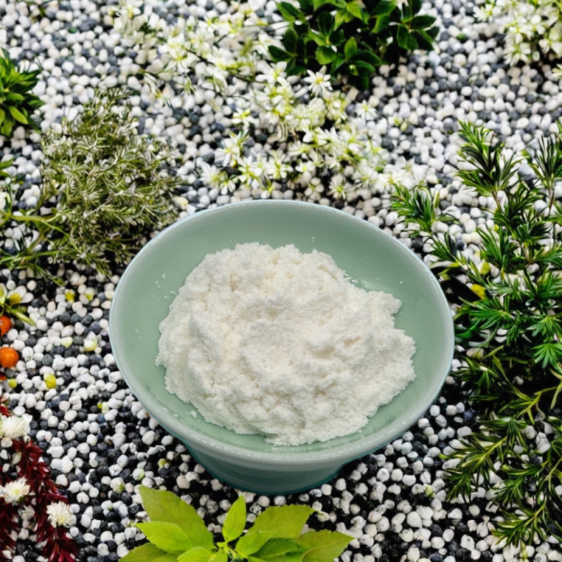 Natural Papaya Extract Papain Enzyme Powder Natural Papin Powder