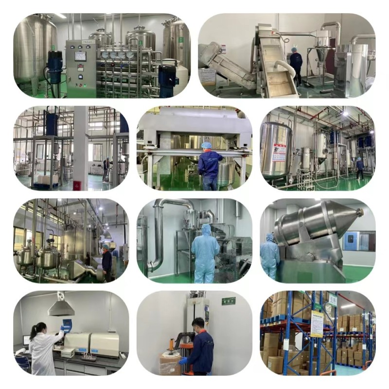 Pea Starch Powder Price Pea Protein Extract Starch Pea Starch