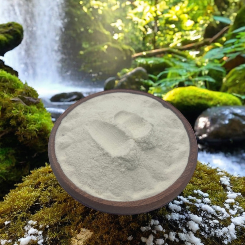 4000u/g Alpha Amylase Enzymes Powder Alpha Amylase Enzyme Food Grade Enzyme Alpha Amylase