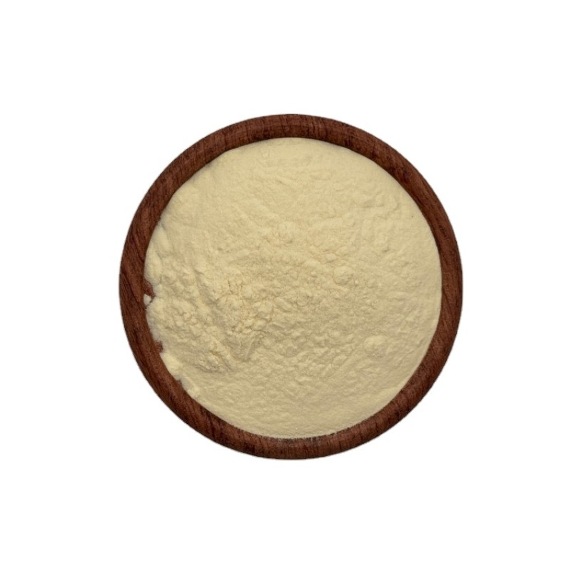 100% Natural High Quality Freeze Dried Lemon Powder Lemon Extract Powder