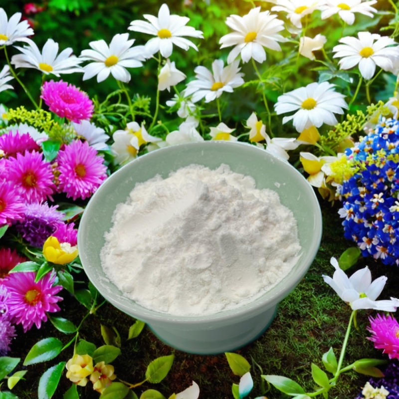 Pure Natural Almond Protein Powder Almond Nuts High Almond Protein