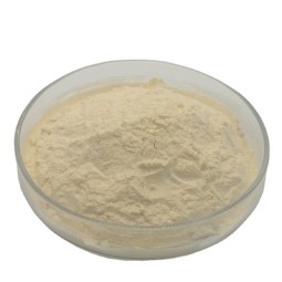 Soy Protein 60% Food Supplement Hydrolyzed Soy Protein Concentrate Powder Concentrated Soy Protein