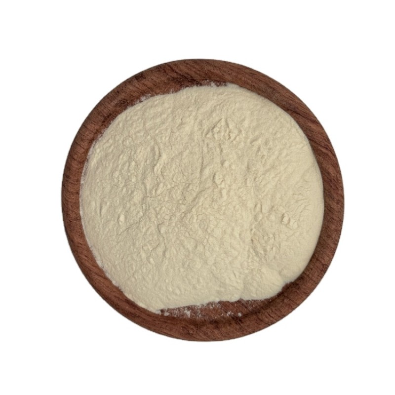 Avocado Powder Organic Avocado Powder Shea Butter Dried Avocado Powder