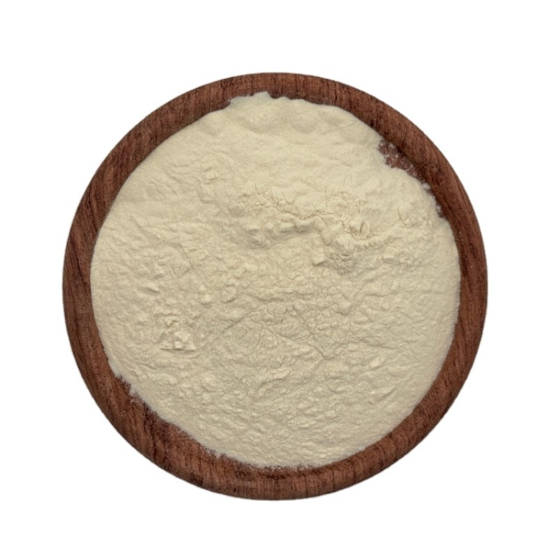 Avocado Powder Organic Avocado Powder Shea Butter Dried Avocado Powder
