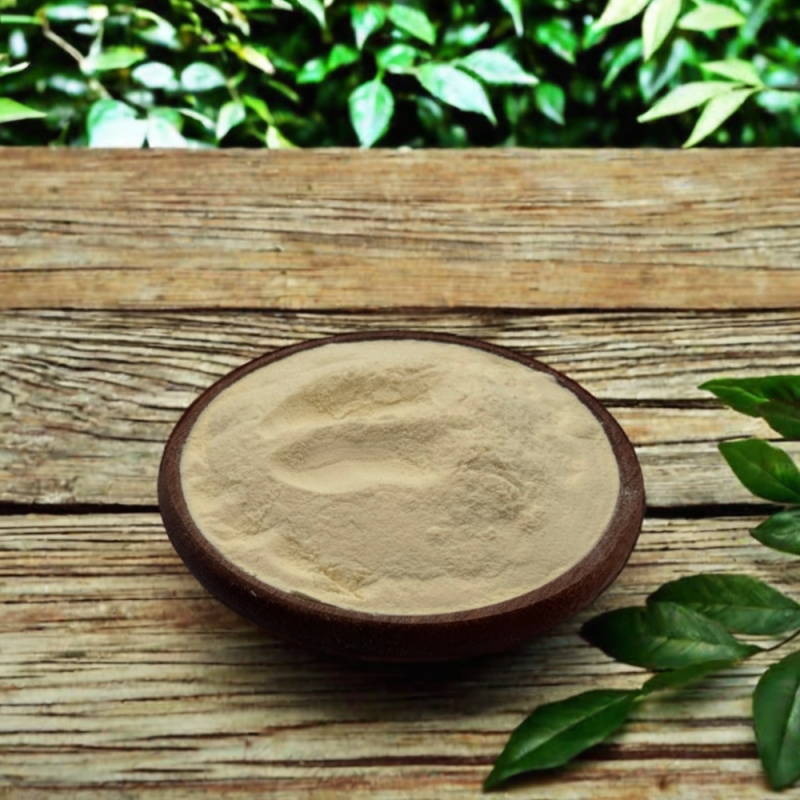 Yacon Root Powder 10:1 Plant Extract Yacon Extract