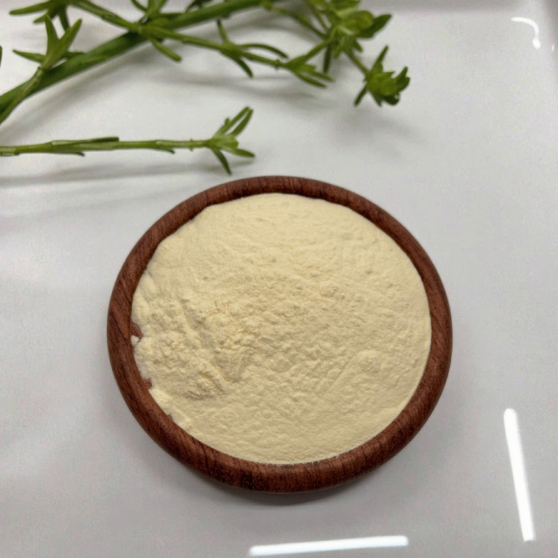 Lemon Juice Powder Organic Lemon Fruit Powder for Bulk