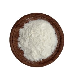 Lactobacillus Helveticus Food Ingredients From China Freeze-dried Probiotics Powder