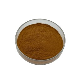 High Quality Alpinia Officinarum Lesser Galangal Extract Galangal Powder