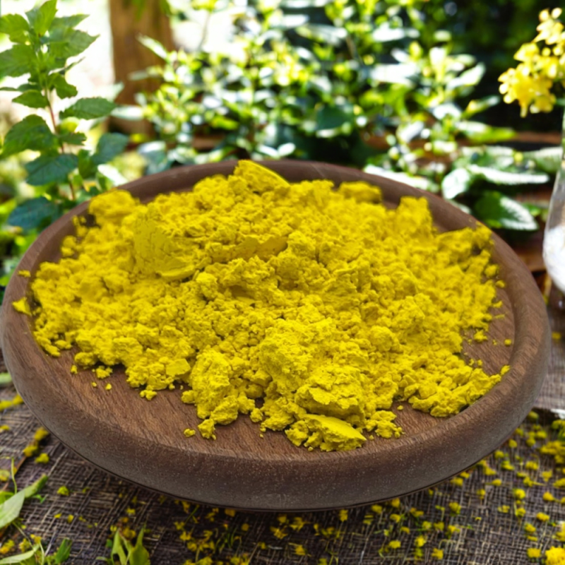 Berberine Extract Powder Capsules Coptis Chinensis Root Extract 10:1 Berberine Extract 10:1