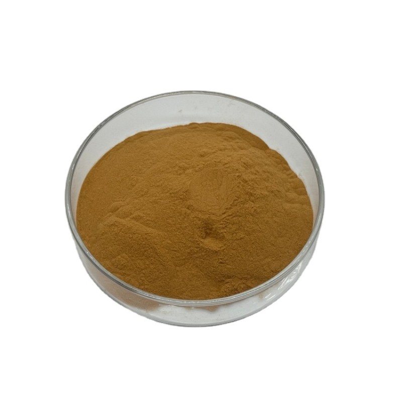 Plant Extract 10:1 20:1 Loquat Leaf Extract Loquat Extract