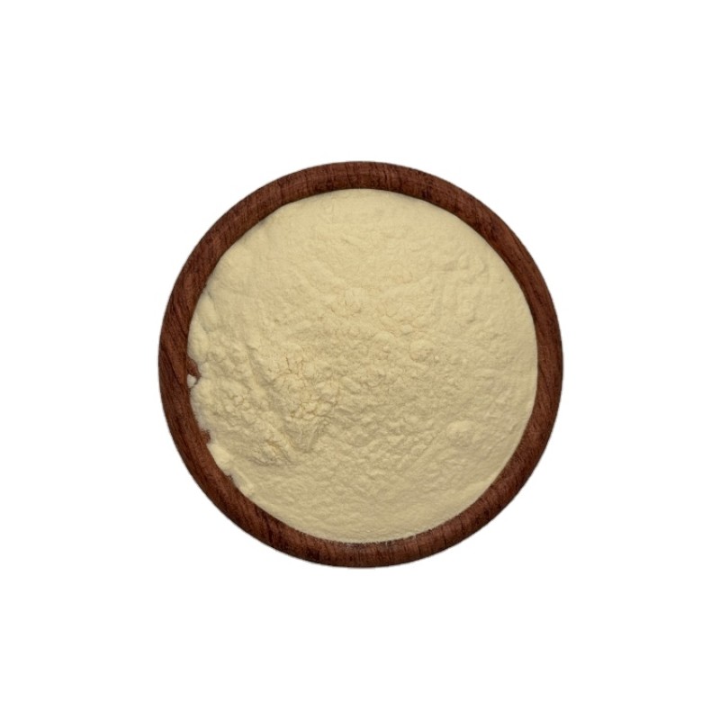 Good Price Lemon Powder Freeze Dried Lemon Juice Dry Lemon Powder